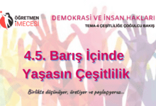 barış barış alternatif