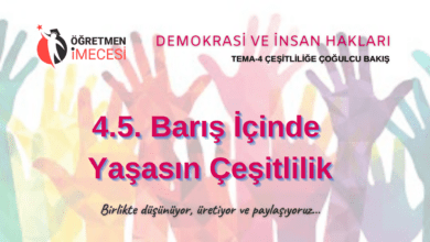 barış barış alternatif