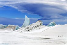 Wonders in the Antarctic Sea and Sky