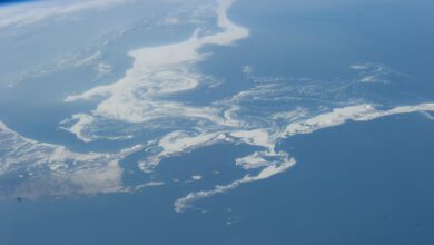 Ice Pattern, Sea of Okhotsk (NASA, International Space Station, 04/14/14)